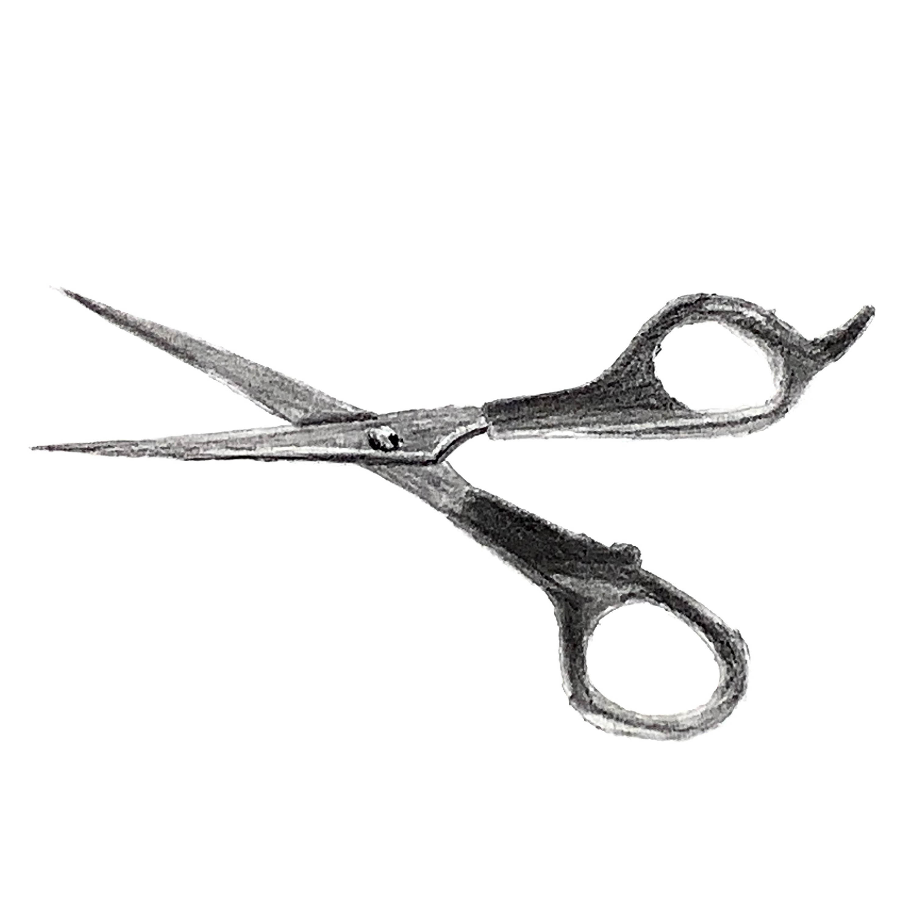 Scissors Charcoal Drawing