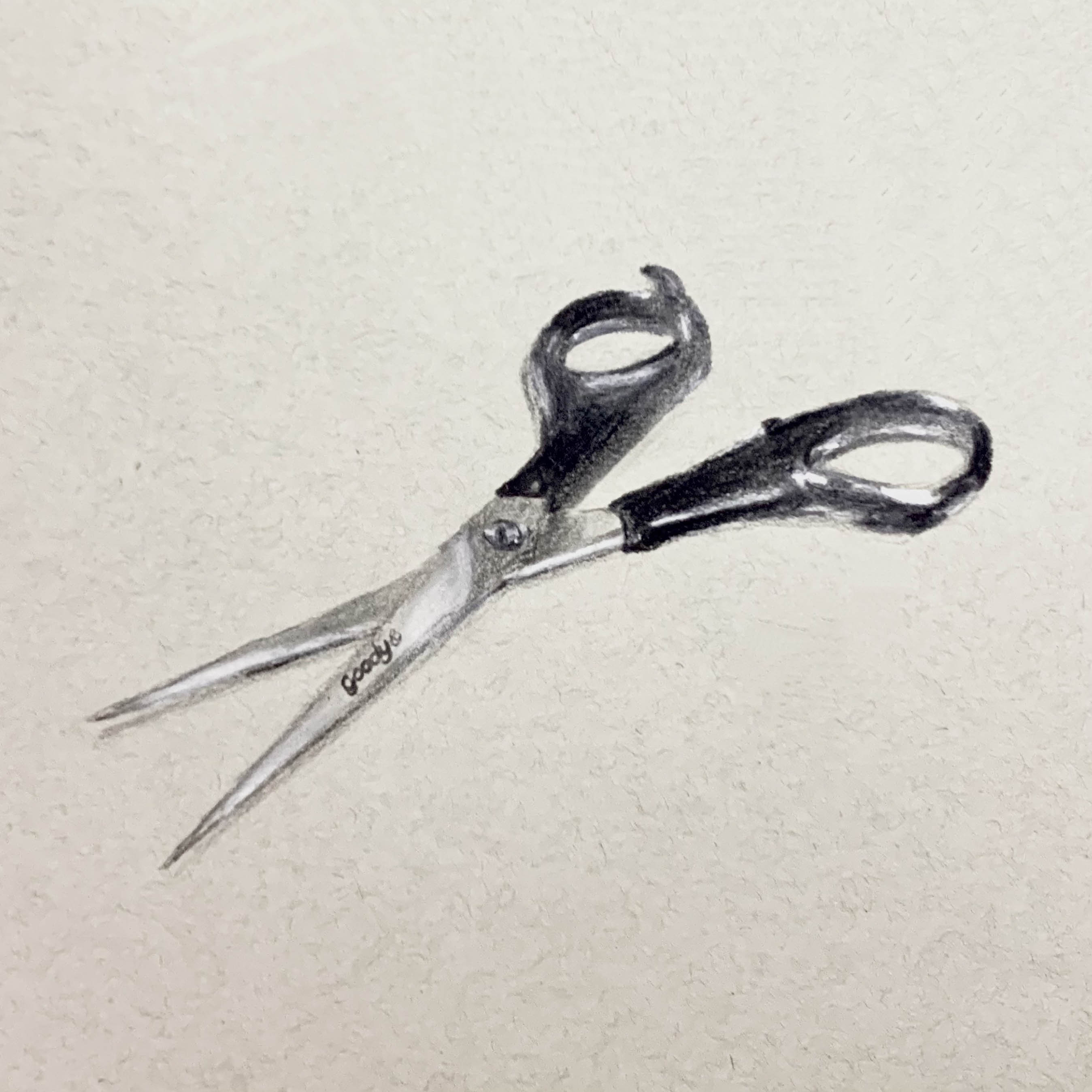 Scissors Grey Charcoal